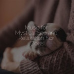 Music for Mystical Spa and Relaxation For Dogs by Music for Calming Dogs on TIDAL Music for Calming Dogs - Music for Mystical Spa... 