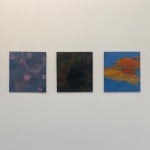 Peter Hughes - TIDAL Peter Hughes