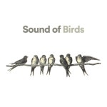 Birds Singing Sounds with Nature to Help Relax and Sleep Better by Bird Sounds on TIDAL Bird Sounds - Birds Singing Sounds with... 