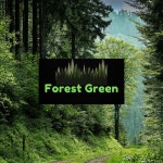 Im in a Car by Forest Green on TIDAL Forest Green - Im in a Car