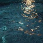 LoFi Hip Hop Beats To Chill Study & Relax by Aesthetic Music on TIDAL Aesthetic Music - LoFi Hip Hop Beats To Chill Study & Relax