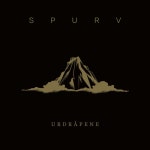 Spurv on TIDAL Spurv
