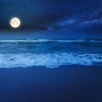 Relaxing Music Therapy Play List on TIDAL Relaxing Music Therapy Play List