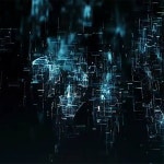 홍승현 - TIDAL 홍승현