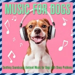 Dog Music Dreams: Relaxing Deep Sleep Sounds by Dog Music Dreams on TIDAL Dog Music Dreams - Dog Music Dreams: Relaxing Deep... 