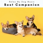4 Paws: Calm Pup Songs by Relax My Dog Music on TIDAL Relax My Dog Music - 4 Paws: Calm Pup Songs
