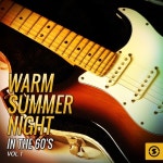 Warm Summer Night in the 60s, Vol. 1 by Various Artists on TIDAL Various Artists - Warm Summer Night in the 60s, Vol. 1