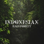 Ambient Dream Atmosphere – Collection of Soft New Age Music for Sleep, Nature Sounds Relaxation, Starry Night, Stop Snoring... 