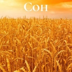 Сон by STALKER on TIDAL STALKER - Сон