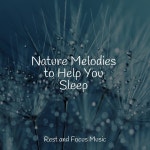 50 Chillout Relaxing Sleep Ultimate Stress Relief by White Noise Sleep Sounds on TIDAL White Noise Sleep Sounds - 50 Chillout... 