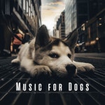Calming New Age by RelaxMyDog on TIDAL RelaxMyDog - Calming New Age