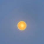 obsolet (Demo) by Nea on TIDAL Nea - obsolet (Demo)