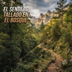 El sendero tallado en el bosque (스페인어 /숲 속에 새긴 길) / 김현 - TIDAL 김현 - El sendero tallado en el bosque (스페인어 /숲... 