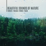 Beautiful Sounds of Nature (Forest, Ocean, Wind, Rain) by Lovely Nature Music Zone on TIDAL Lovely Nature Music Zone - Beautiful... 