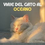 Ansiedad Ahogada Con Vibraciones Oceánicas by Sonidos Oceánicos on TIDAL Sonidos Oceánicos - Ansiedad Ahogada Con Vibraciones... 