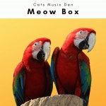 1 Meow Box by Cat Music Jukebox on TIDAL Cat Music Jukebox - 1 Meow Box