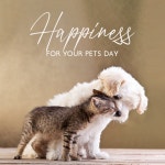 Happiness for Your Pets Day (Relaxing Moment for Little Friend, Deep Sleep Music for Puppy, World Pet Day Celebration) by Pet... 