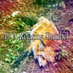 49 A Relaxing Slumber by Bedtime Baby on TIDAL Bedtime Baby - 49 A Relaxing Slumber