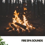 The Sound of Rain: Birds Chirping and Rain by White Noise Spa on TIDAL White Noise Spa - The Sound of Rain: Birds Chirping and Rain