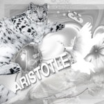 ! ARISTOTLE ! >_< (DJ 5L) / 5limm - TIDAL 5limm - ! ARISTOTLE ! >_< (DJ 5L)