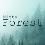 Finding Calm by Forest Hills Music Universe on TIDAL Forest Hills Music Universe - Finding Calm