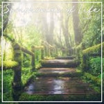 Monte Pederson on TIDAL Monte Pederson