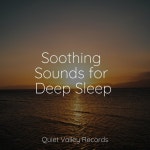 Sample Rain Library on TIDAL Sample Rain Library