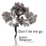 Anton Walgrave on TIDAL Anton Walgrave