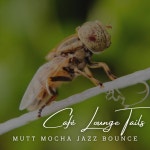 Latino Jazz Cafe on TIDAL Latino Jazz Cafe