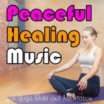 Meditation Music Academy on TIDAL Meditation Music Academy