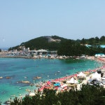 삼척 장호항 - 폰카갤러리 - 알고사