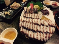 문어숙회~~ - 폰카갤러리 - 알고사