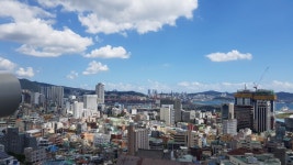 부산 - 자유갤러리 - 알고사