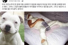 개같은 천벌 - 자유갤러리 - 알고사