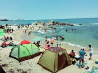 죽도 - 자유갤러리 - 알고사