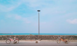제주 세화바다 - 자유갤러리 - 알고사