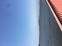 금강하구둑 - 자유갤러리 - 알고사