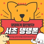 서울시 서초구 강남구 최저가 댕댕한~할인 최저가 시세표 - 신고게시물 - 알고사