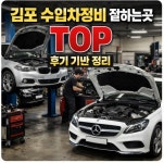 김포 수입차정비 아무 데나 맡기면 바로 돈 두 번 나감 - 가맹택시 마이너 갤러리