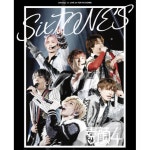 248779034 ４６０ベンチ型固定用エレメンツ４段セット ９１０×Ｈ１６３０ 99511917693の通販はau カムシェル - www.clovercooler.com