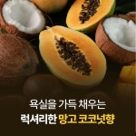 포포라보(PAWPAW LABO) 포포 올인원 듀오 세트 ( 250ml + 250ml ) - 후기 | 무신사