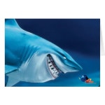 Bruce, Nemo and Dory 1 | Zazzle