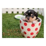 Cute puppy dog | Zazzle