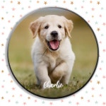 Cute Puppy Dog Personalized Pet Photo Phone PopSocket | Zazzle