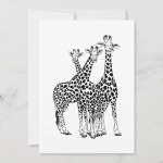 Giraffe family | Zazzle