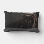 Lumbar Pillow 13 x 21 | Zazzle