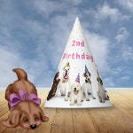 Pet Birthday Dog Party | Pink Hat | Zazzle