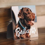 Pets Simple Modern Cool Typography Name and Photo Plaque | Zazzle
