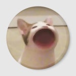 Pop Cat Magnet | Zazzle