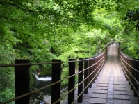 元湯 山田屋旅館の写真（画像） - ホテル・旅館の宿泊予約はRelux（リラックス）